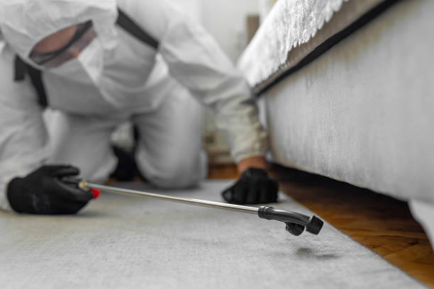 Professional Bed Bug Control technician working in Mahnomen County County, MN